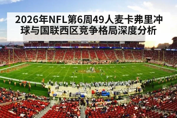 nfl stadium crowd game